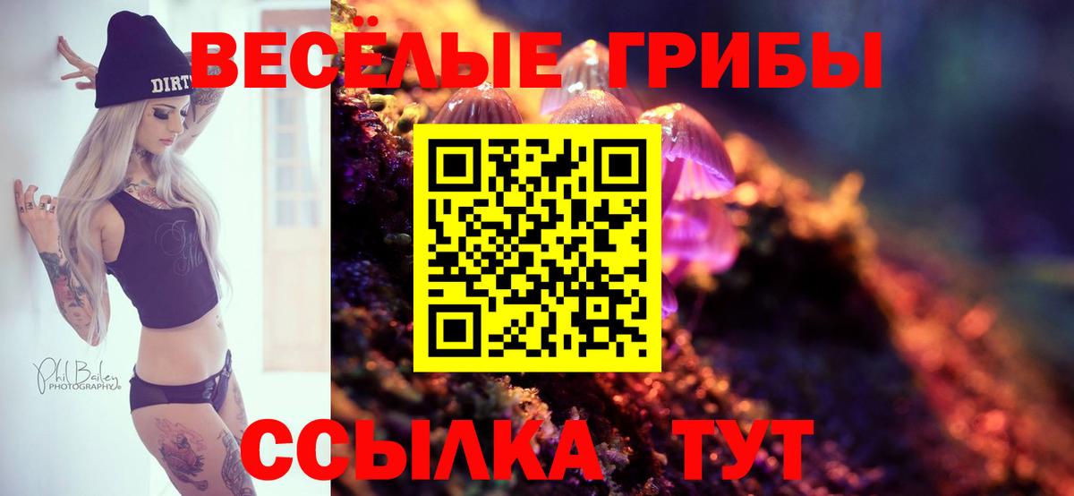 Галлюциногенные грибы MAGIC MUSHROOMS Магадан