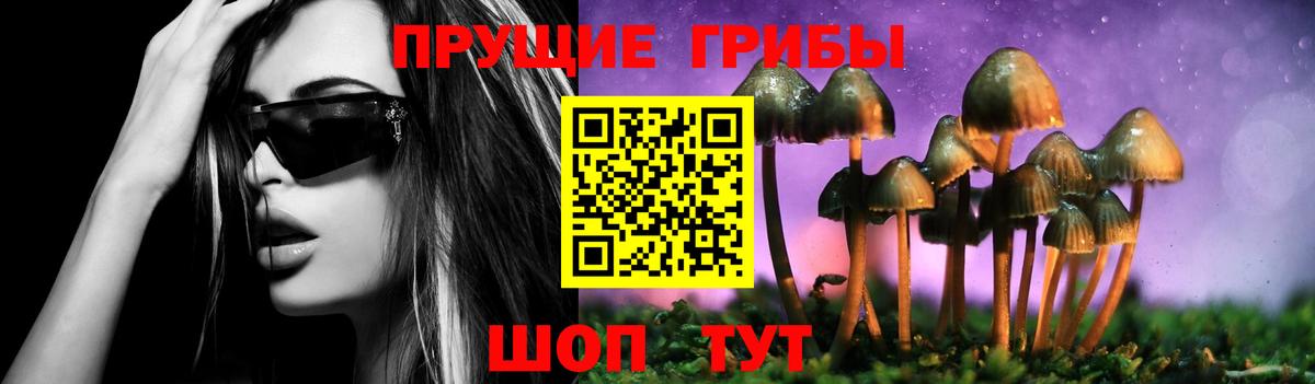 Псилоцибиновые грибы мицелий  Вход с VPN  Магадан 